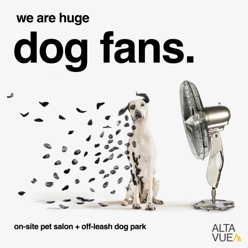 Pet Policy Pet Policy Image